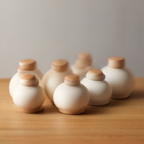 সিরামিক মশলার জার — ৬ পিস